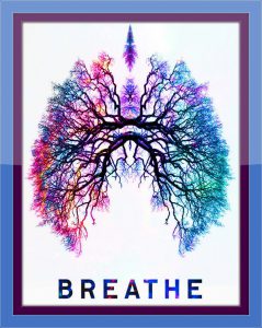 Your Breath of Life Part 1: Why Deep Breathing Is Important | GrapeGate