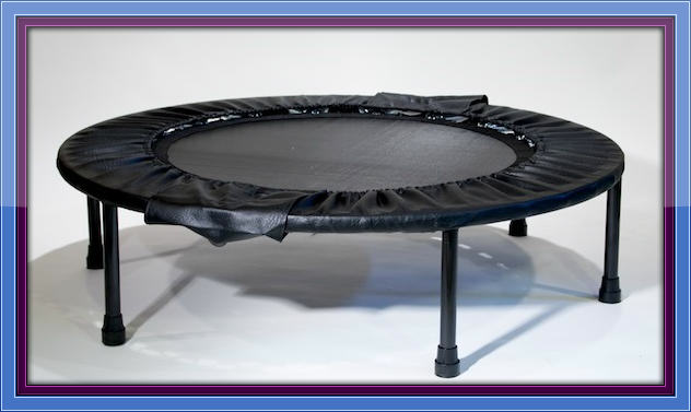 Cellerciser Rebounder I