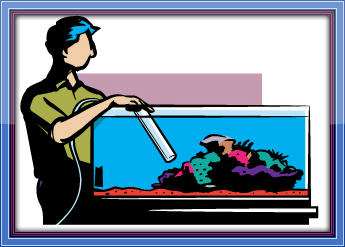 Fish Tank Cleaning YABM I