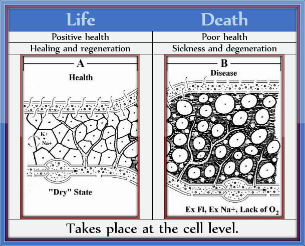 Life Death - Root Cause III