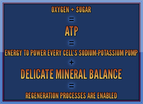 Oxygen Sugar ATP - The Root Cause II Frame