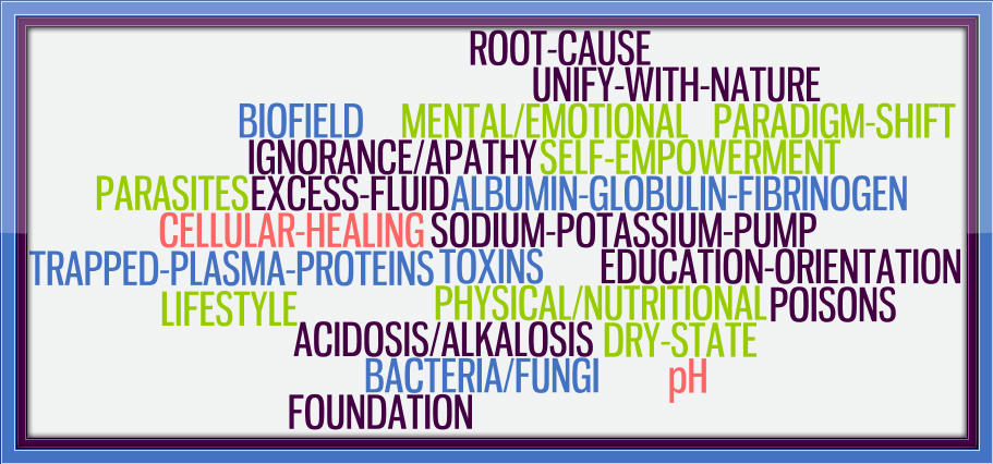Word Salad - The Root Cause Frame